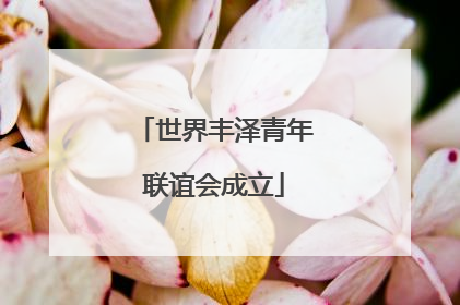 世界丰泽青年联谊会成立