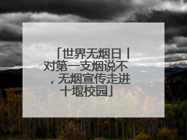 世界无烟日丨对第一支烟说不，无烟宣传走进十堰校园