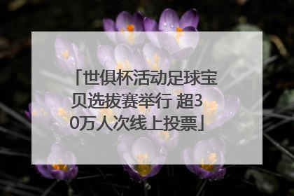 世俱杯活动足球宝贝选拔赛举行 超30万人次线上投票