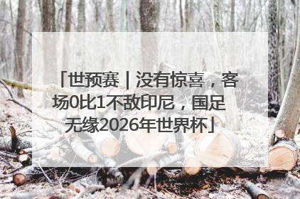 世预赛｜没有惊喜，客场0比1不敌印尼，国足无缘2026年世界杯