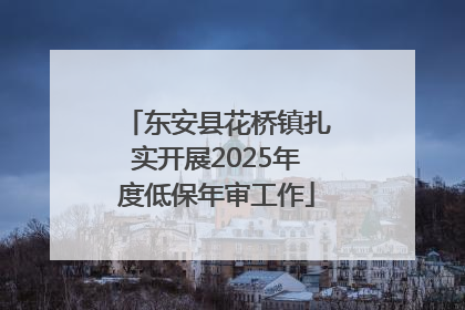 东安县花桥镇扎实开展2025年度低保年审工作