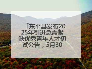 东平县发布2025年引进急需紧缺优秀青年人才初试公告，5月30日开展面谈