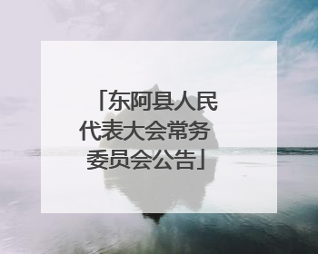东阿县人民代表大会常务委员会公告