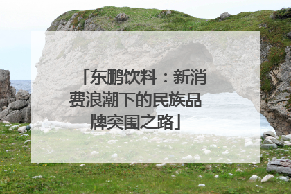东鹏饮料：新消费浪潮下的民族品牌突围之路