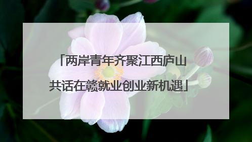 两岸青年齐聚江西庐山 共话在赣就业创业新机遇