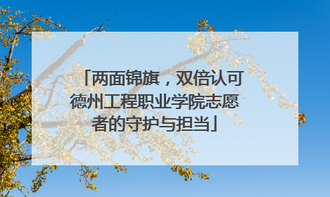 两面锦旗，双倍认可德州工程职业学院志愿者的守护与担当