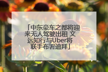 中东豪车之都将迎来无人驾驶出租 文远知行与Uber将联手布署迪拜