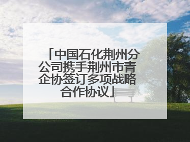 中国石化荆州分公司携手荆州市青企协签订多项战略合作协议