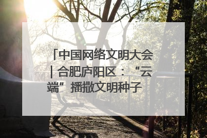 中国网络文明大会｜合肥庐阳区：“云端”播撒文明种子 共建清朗网络空间