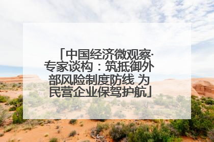 中国经济微观察·专家谈构：筑抵御外部风险制度防线 为民营企业保驾护航