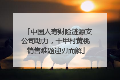 中国人寿财险涟源支公司助力，十甲村黄桃销售难题迎刃而解