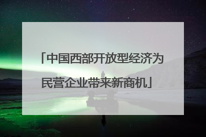 中国西部开放型经济为民营企业带来新商机