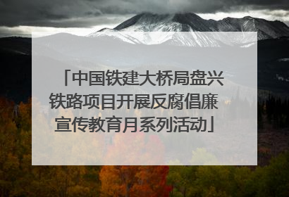 中国铁建大桥局盘兴铁路项目开展反腐倡廉宣传教育月系列活动