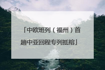 中欧班列（福州）首趟中亚回程专列抵榕