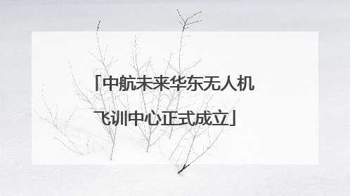 中航未来华东无人机飞训中心正式成立