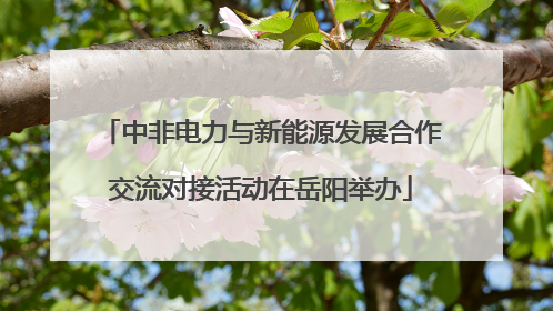 中非电力与新能源发展合作交流对接活动在岳阳举办