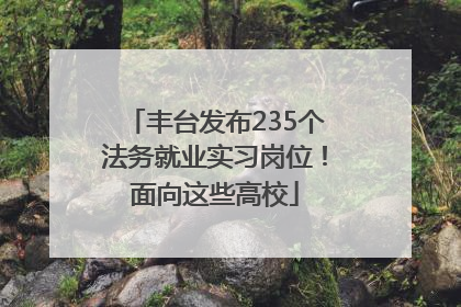 丰台发布235个法务就业实习岗位！面向这些高校