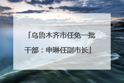 乌鲁木齐市任免一批干部：申琳任副市长