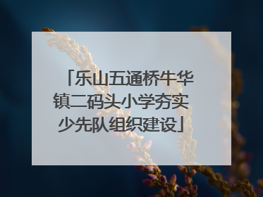 乐山五通桥牛华镇二码头小学夯实少先队组织建设