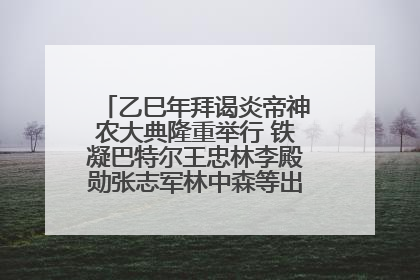 乙巳年拜谒炎帝神农大典隆重举行 铁凝巴特尔王忠林李殿勋张志军林中森等出席 孙伟主持