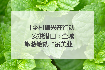乡村振兴在行动｜安徽潜山：全域旅游绘就“景美业兴民富”新画卷