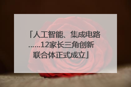 人工智能、集成电路……12家长三角创新联合体正式成立