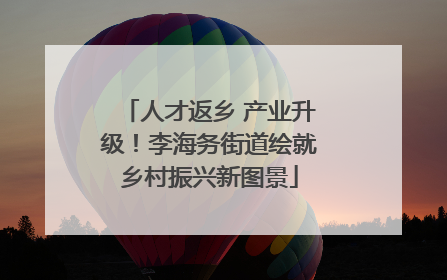 人才返乡 产业升级！李海务街道绘就乡村振兴新图景