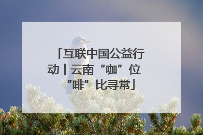 互联中国公益行动丨云南“咖”位“啡”比寻常