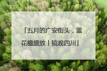 五月的广安街头，蓝花楹盛放丨镜观四川