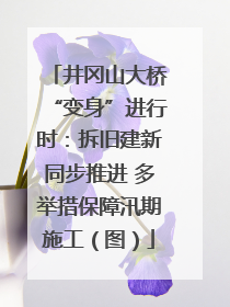 井冈山大桥“变身”进行时：拆旧建新同步推进 多举措保障汛期施工（图）