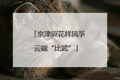 京津冀花样风筝云端“比武”