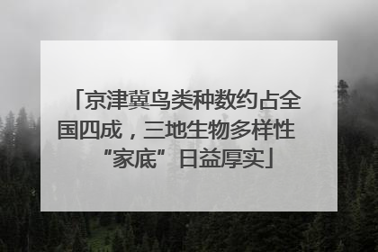 京津冀鸟类种数约占全国四成，三地生物多样性“家底”日益厚实