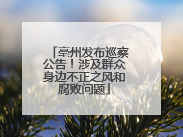 亳州发布巡察公告！涉及群众身边不正之风和腐败问题