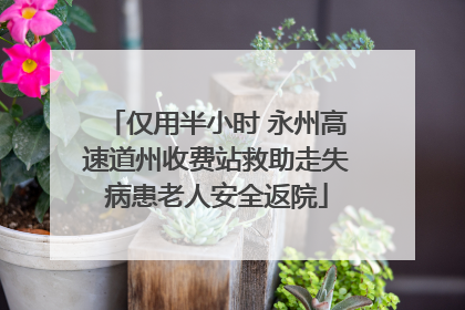 仅用半小时 永州高速道州收费站救助走失病患老人安全返院