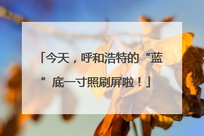 今天，呼和浩特的“蓝”底一寸照刷屏啦！