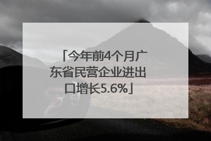 今年前4个月广东省民营企业进出口增长5.6%