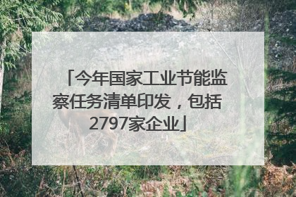 今年国家工业节能监察任务清单印发，包括2797家企业