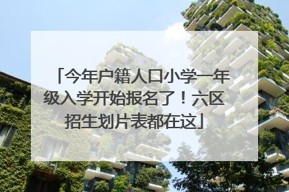 今年户籍人口小学一年级入学开始报名了！六区招生划片表都在这