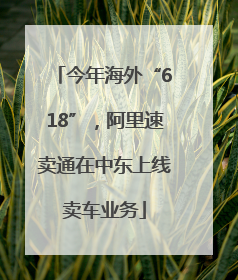 今年海外“618”，阿里速卖通在中东上线卖车业务