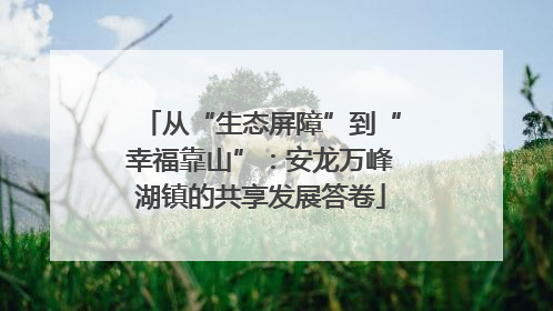 从“生态屏障”到“幸福靠山”：安龙万峰湖镇的共享发展答卷