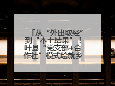 从“外出取经”到“本土结果”！叶县“党支部+合作社”模式绘就乡村振兴新图景