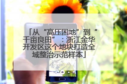 从“高压困地”到“千亩良田”：浙江金华开发区这个地块打造全域整治示范样本