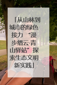 从山林到城市的绿色接力 “漫步缙云·青山驿站”探索生态文明新实践