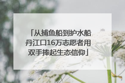 从捕鱼船到护水船 丹江口16万志愿者用双手捧起生态信仰