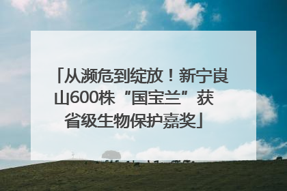 从濒危到绽放！新宁崀山600株“国宝兰”获省级生物保护嘉奖