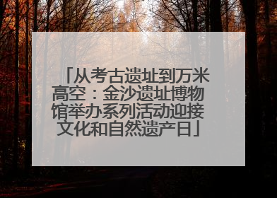 从考古遗址到万米高空：金沙遗址博物馆举办系列活动迎接文化和自然遗产日