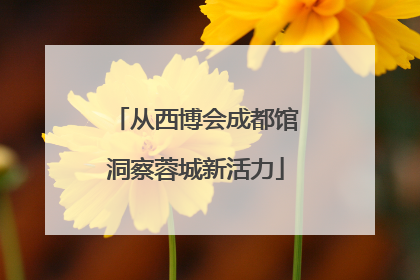从西博会成都馆洞察蓉城新活力