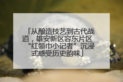 从酿造技艺到古代战道，雄安新区容东片区“红领巾小记者”沉浸式感受历史韵味