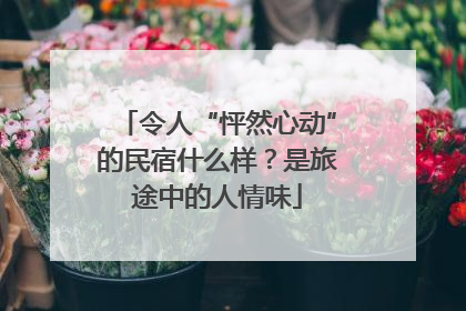 令人“怦然心动”的民宿什么样？是旅途中的人情味
