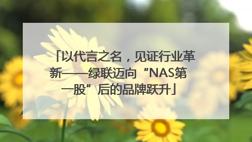 以代言之名，见证行业革新——绿联迈向“NAS第一股”后的品牌跃升
